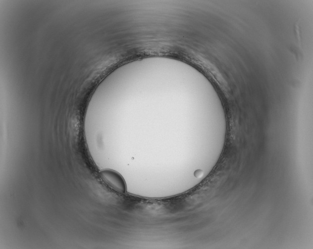 X0000111430113200908031340