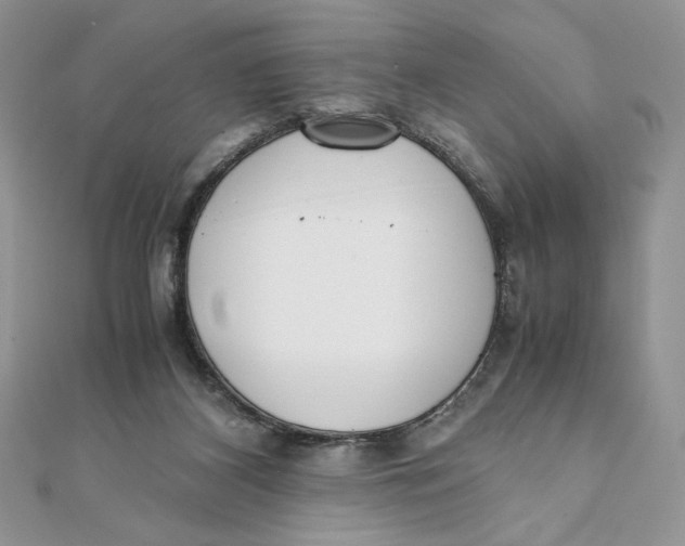 X0000111430116200908031340