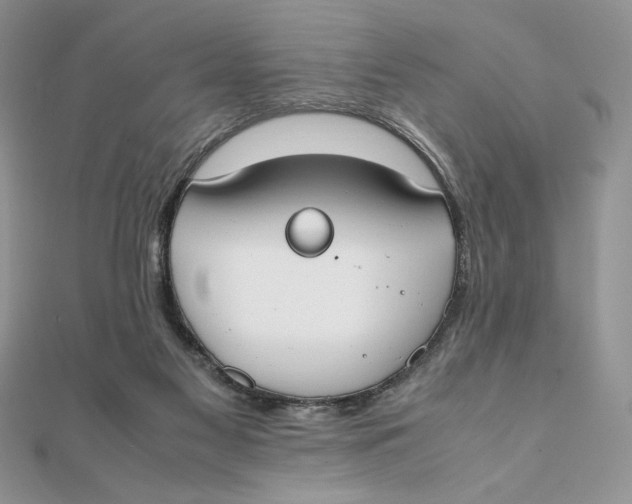 X0000111430117200908031340