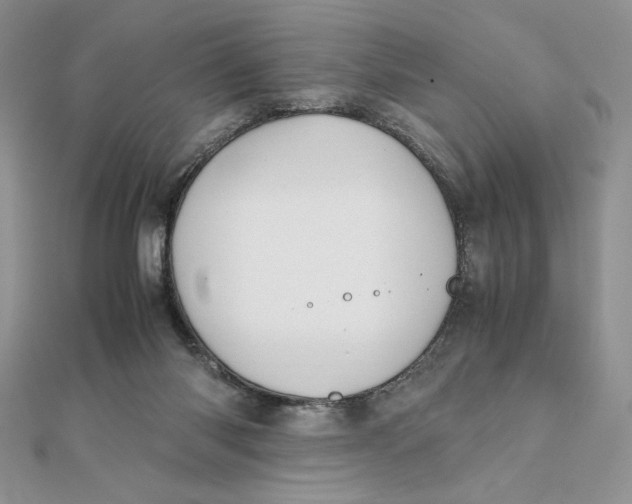 X0000111430118200908031340