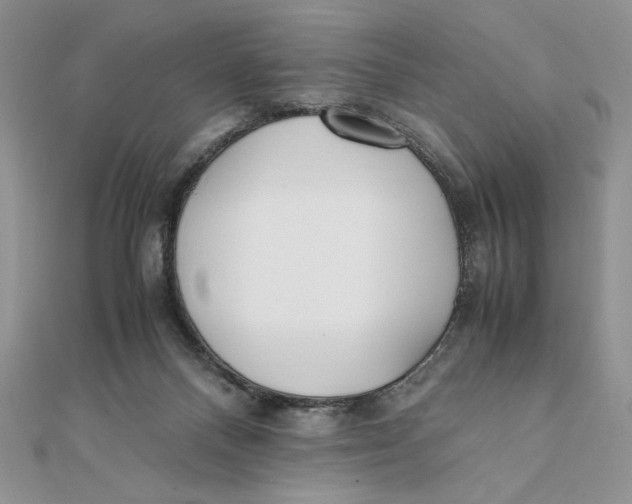 X0000111430120200908031340