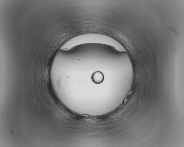 X0000111430121200908031340