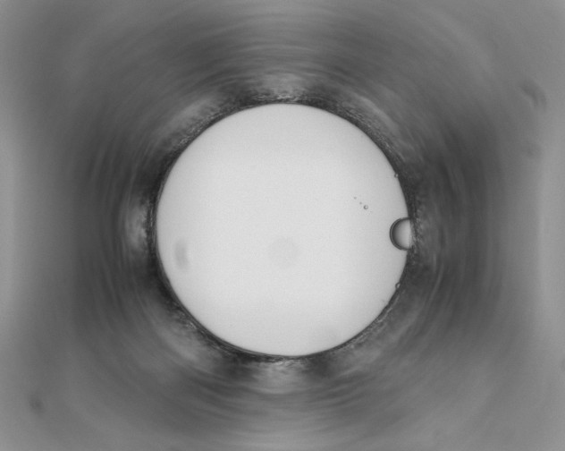 X0000111430122200908031340