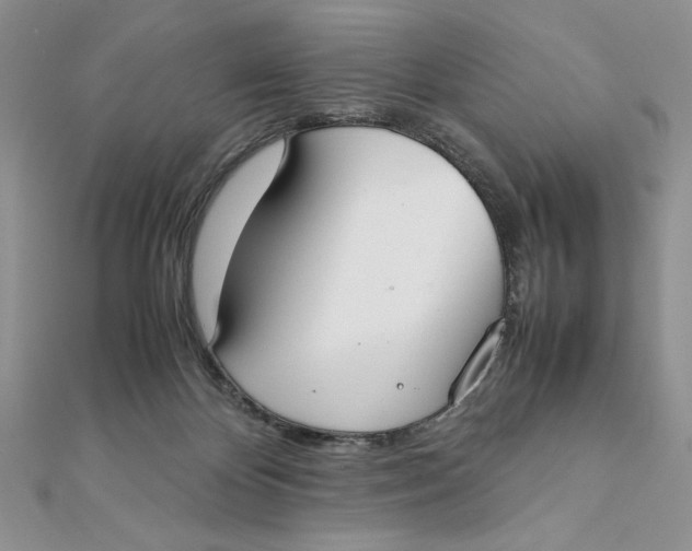 X0000111430124200908031340