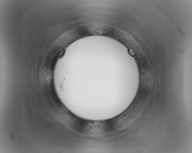 X0000111430125200908031340