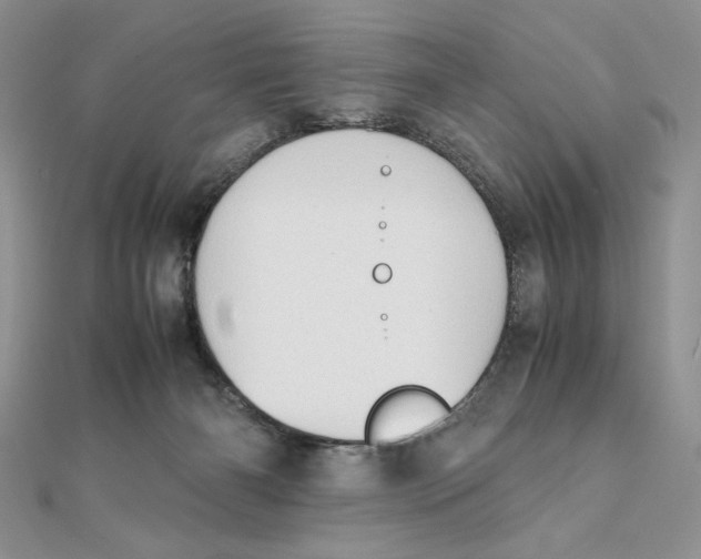 X0000111430126200908031340