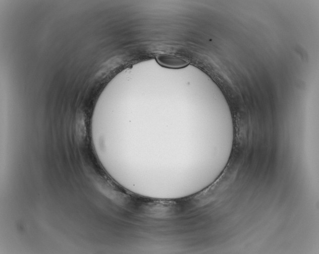 X0000111430128200908031339