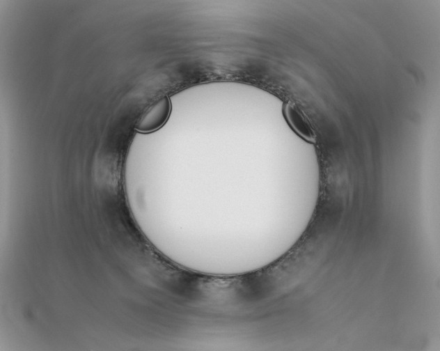 X0000111430129200908031339