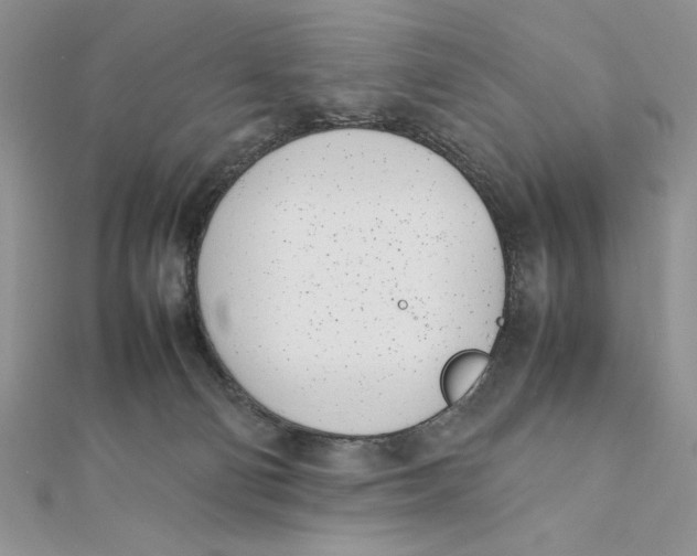 X0000111430130200908031339