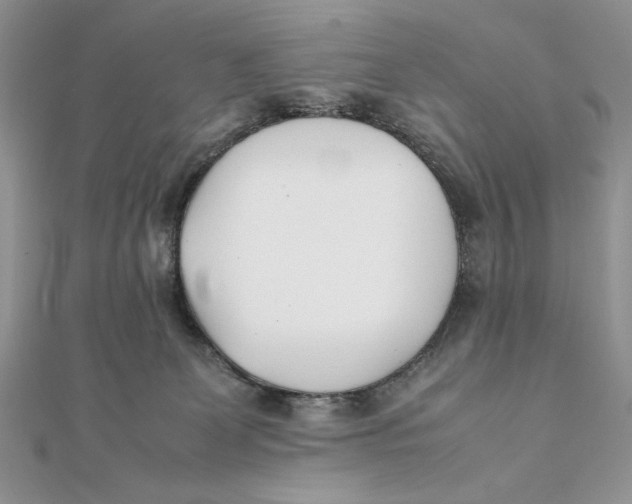 X0000111430131200908031339