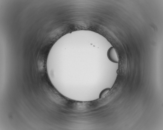 X0000111430134200908031339