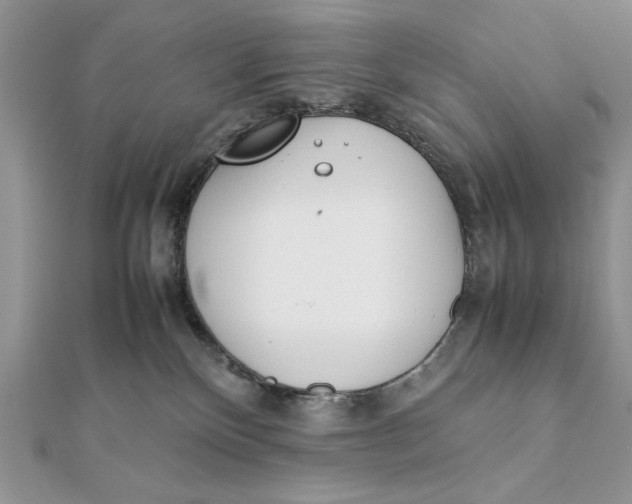 X0000111430136200908031339