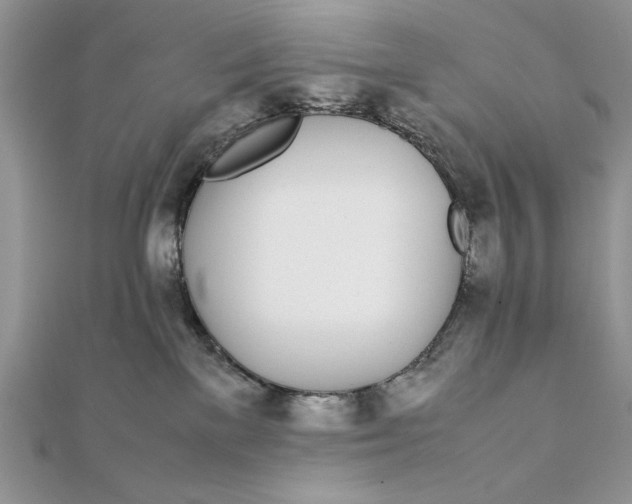 X0000111430137200908031339