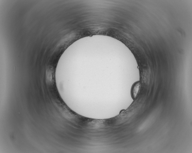 X0000111430138200908031339