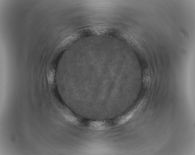 X0000111430139200908031339