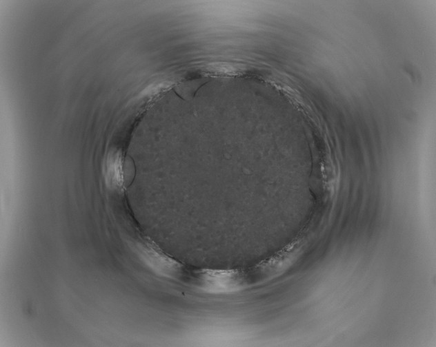 X0000111430143200908031339