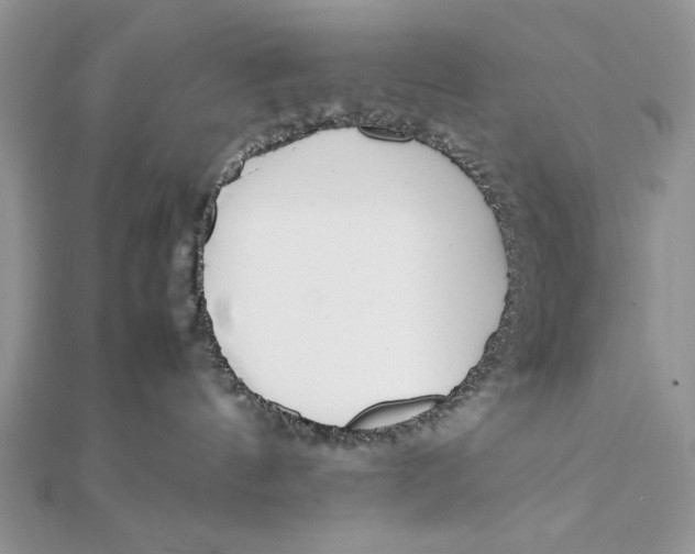 X0000111430144200908031339