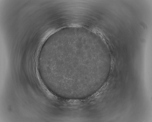 X0000111430145200908031338