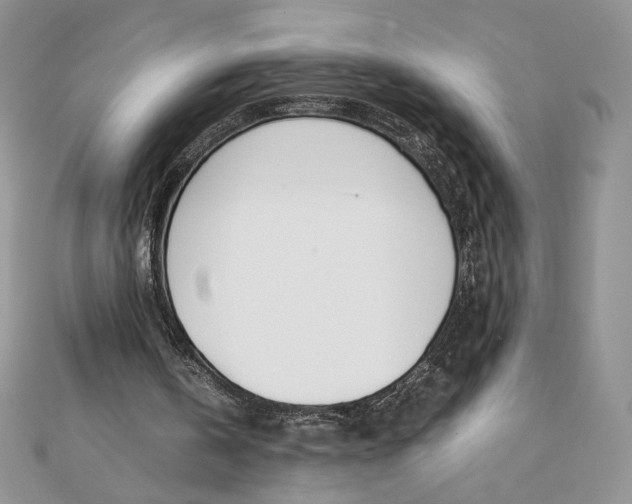 X0000111430146200908031338