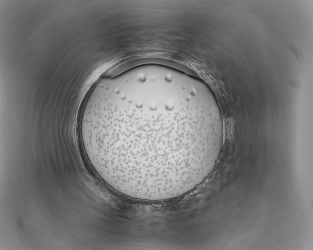 X0000111430147200908031339