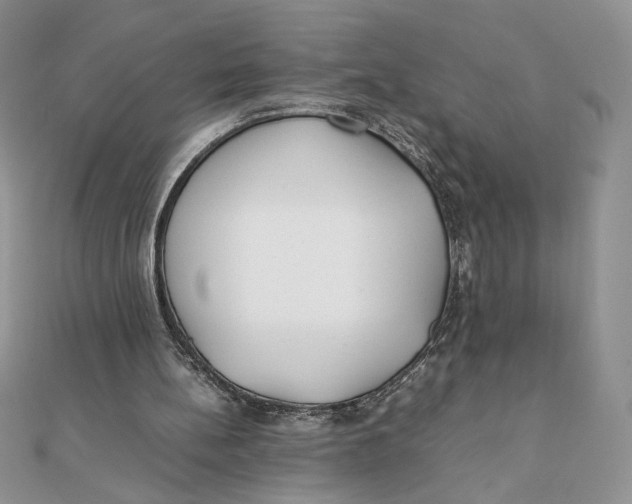 X0000111430148200908031339