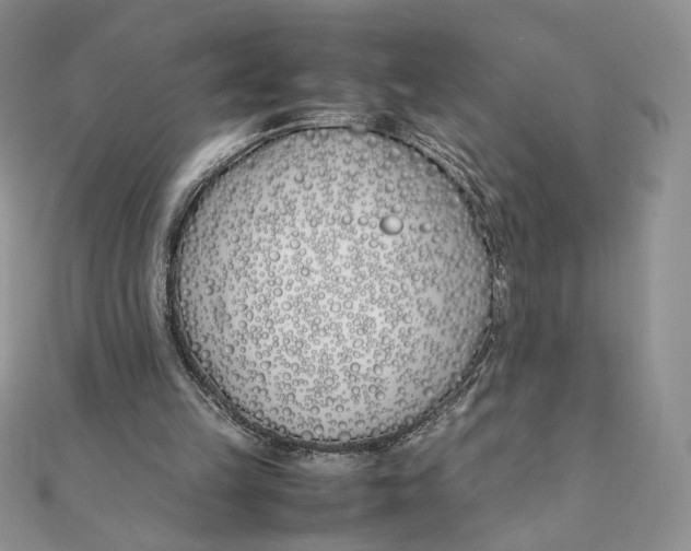 X0000111430149200908031339