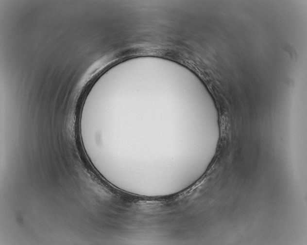 X0000111430150200908031339