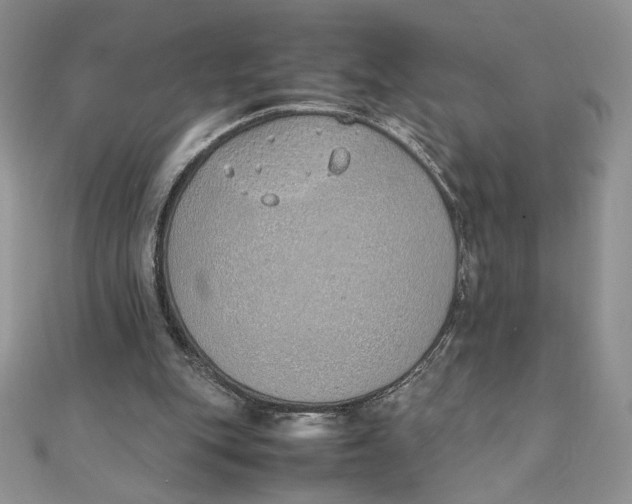 X0000111430151200908031339