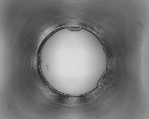 X0000111430152200908031339