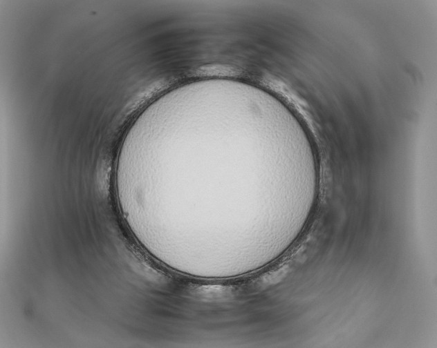 X0000111430153200908031339