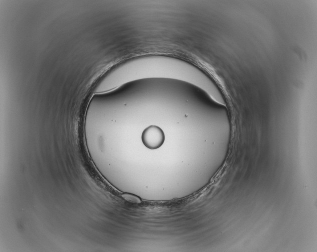 X0000111430154200908031339