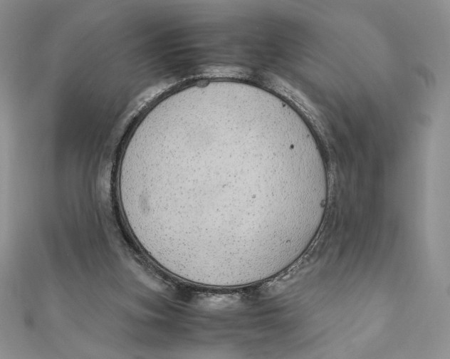 X0000111430155200908031339