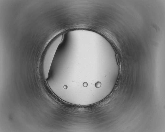 X0000111430156200908031339