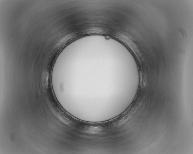 X0000111430157200908031339