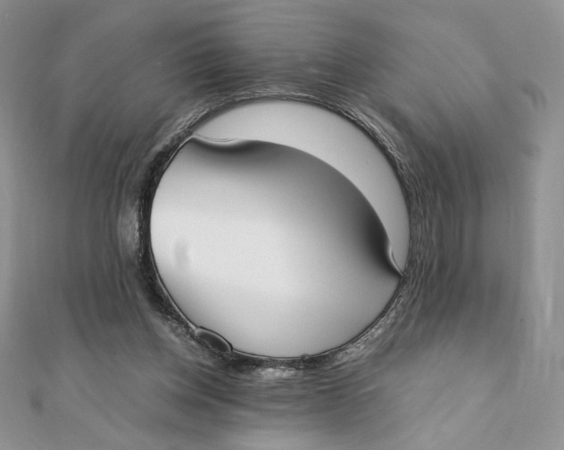 X0000111430158200908031339