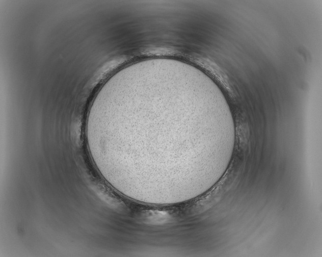 X0000111430159200908031339