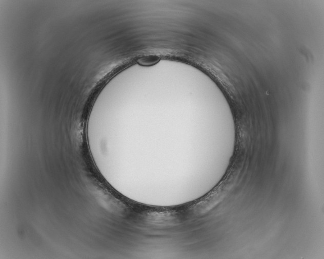 X0000111430160200908031339