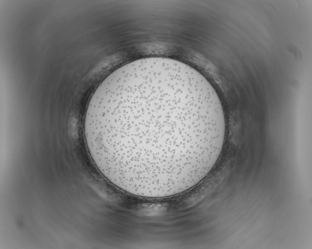 X0000111430161200908031339