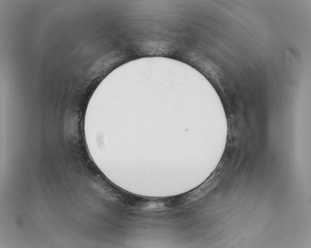 X0000111430162200908031339