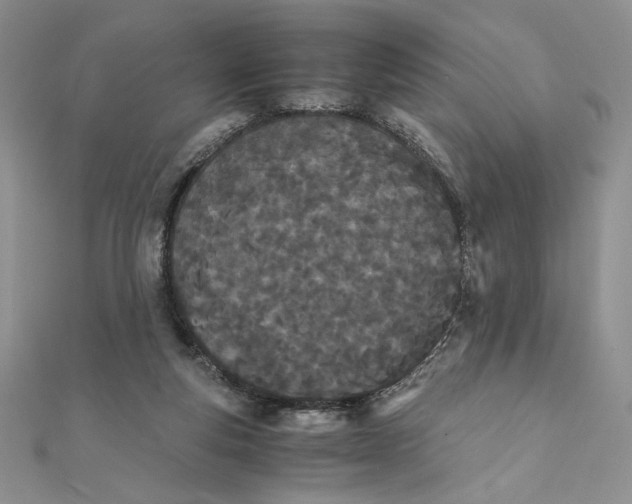 X0000111430163200908031339