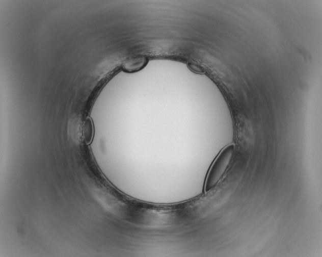 X0000111430164200908031339