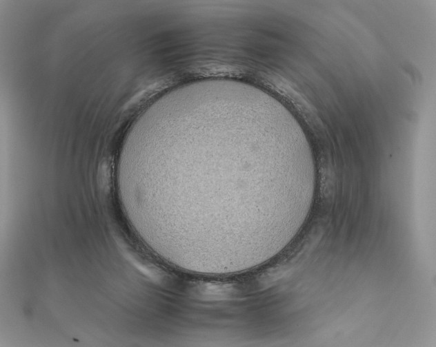 X0000111430165200908031339