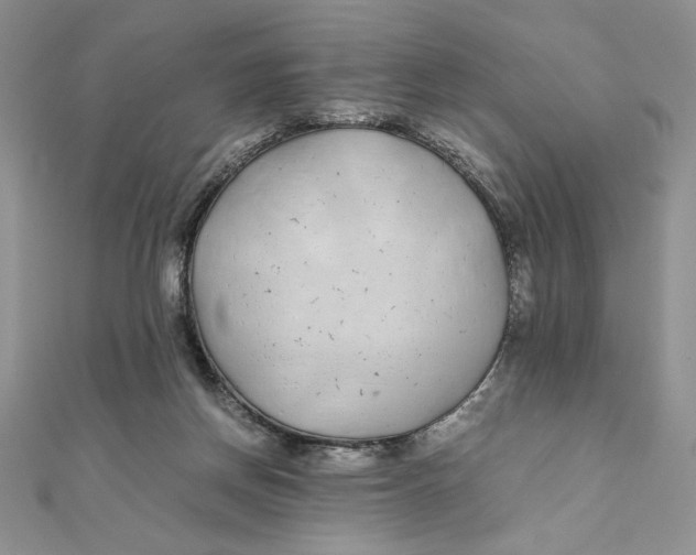 X0000111430166200908031339