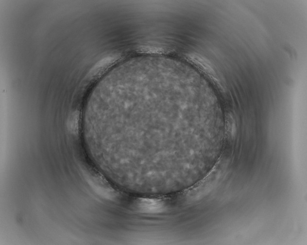 X0000111430167200908031339