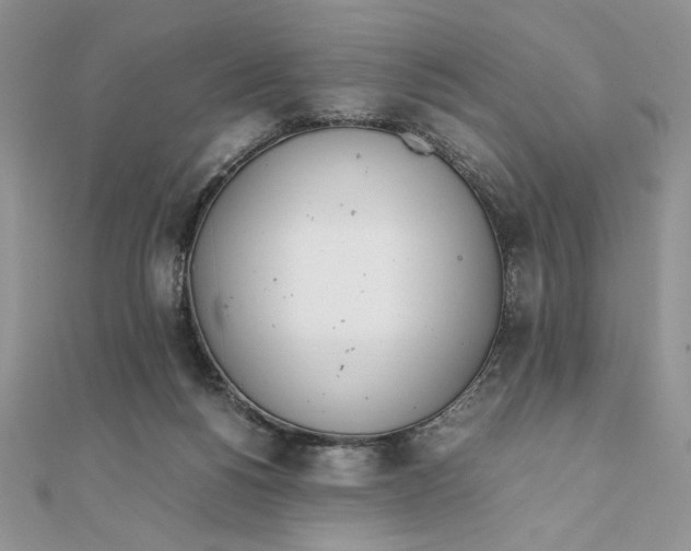 X0000111430168200908031339