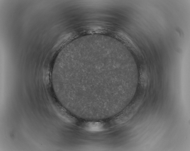 X0000111430169200908031339