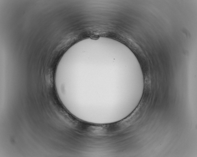 X0000111430170200908031339