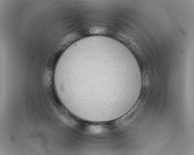 X0000111430171200908031339