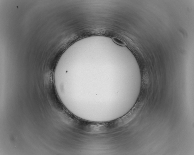 X0000111430172200908031339