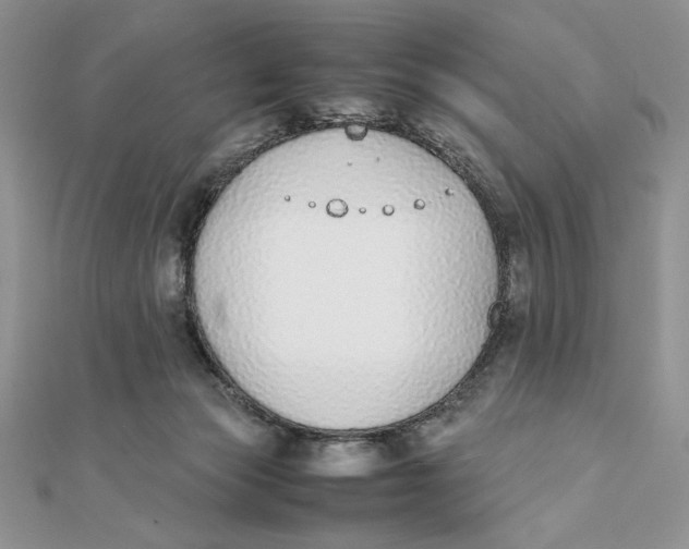 X0000111430173200908031339